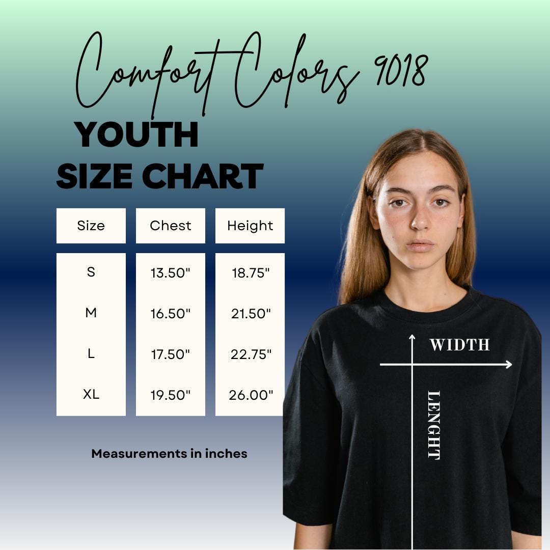 Funny 13th B-day Shirt for Boy Girl, Viral 67 Meme Birthday Tee, Thirteenth Milestone Celebration Gift, Comfort Colors Happy 13th Bday Shirt